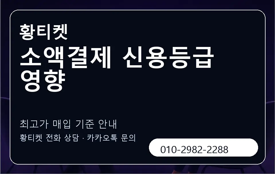 소액결제 신용등급 영향 황티켓 캐러셀 3