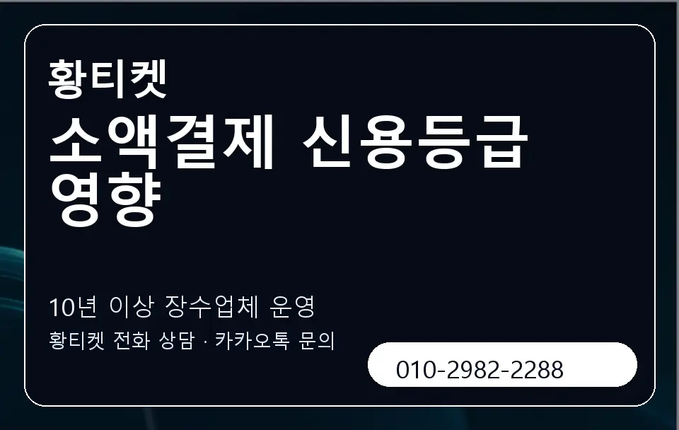 소액결제 신용등급 영향 황티켓 캐러셀 5