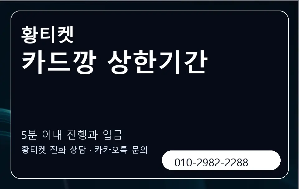 카드깡 상한기간 황티켓 캐러셀 6