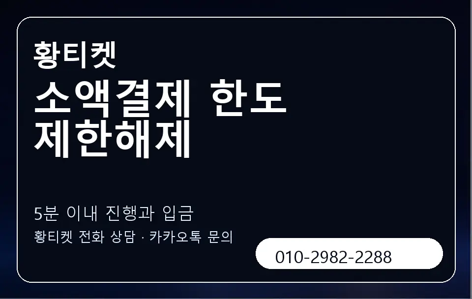 소액결제 한도 제한해제 황티켓 캐러셀 6