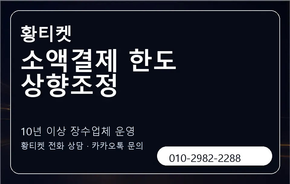소액결제 한도 상향조정 황티켓 캐러셀 5