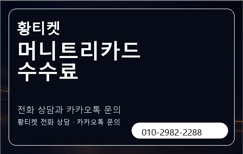 머니트리카드 수수료 황티켓 캐러셀 1
