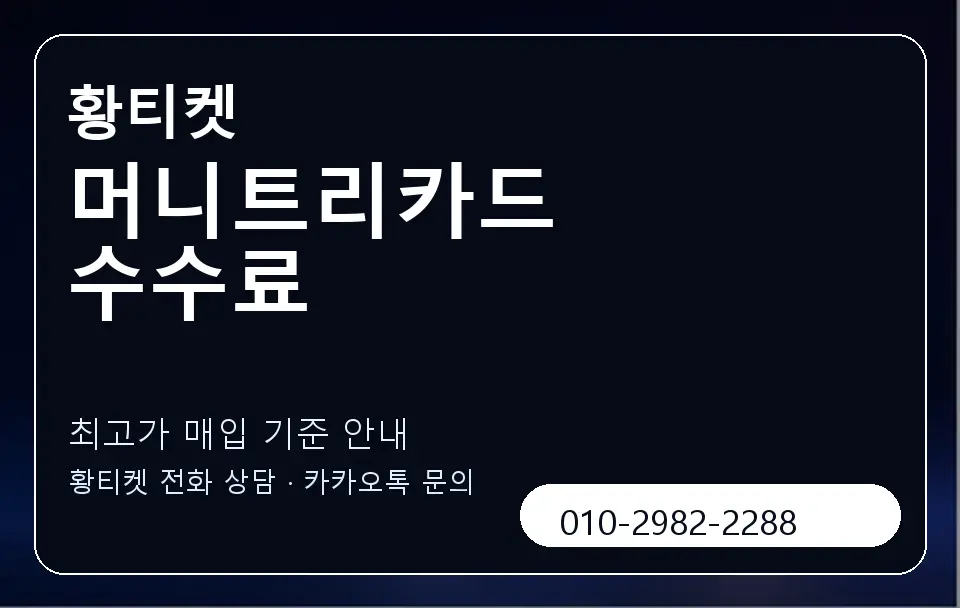 머니트리카드 수수료 황티켓 캐러셀 3