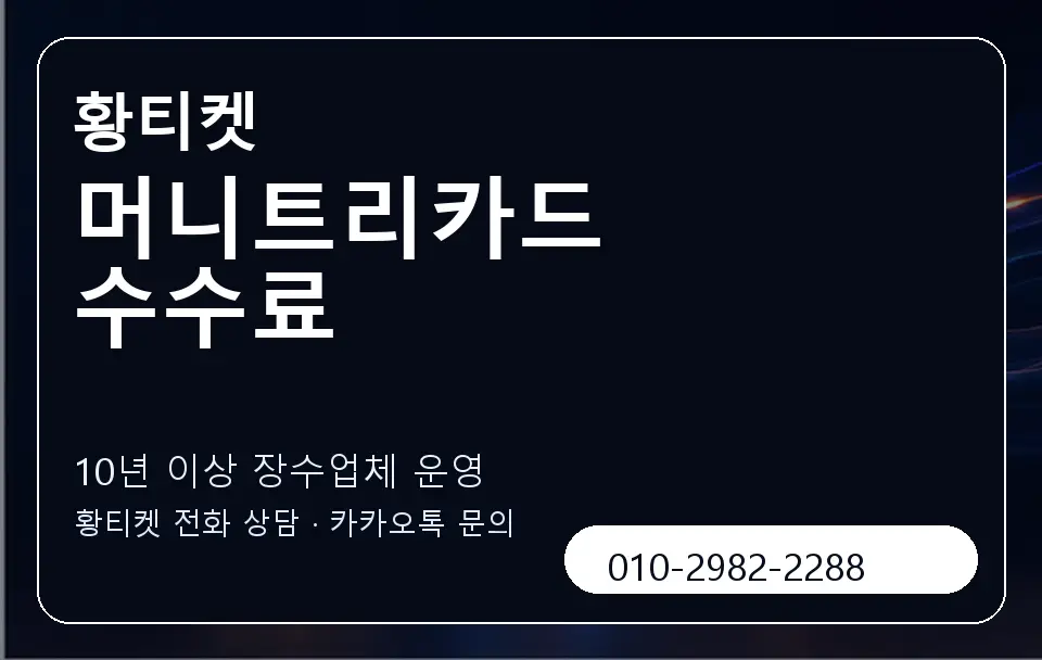 머니트리카드 수수료 황티켓 캐러셀 5