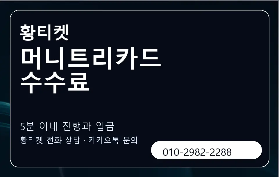 머니트리카드 수수료 황티켓 캐러셀 6