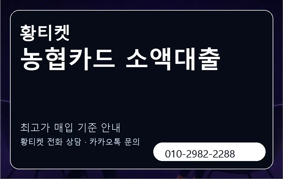농협카드 소액대출 황티켓 캐러셀 3