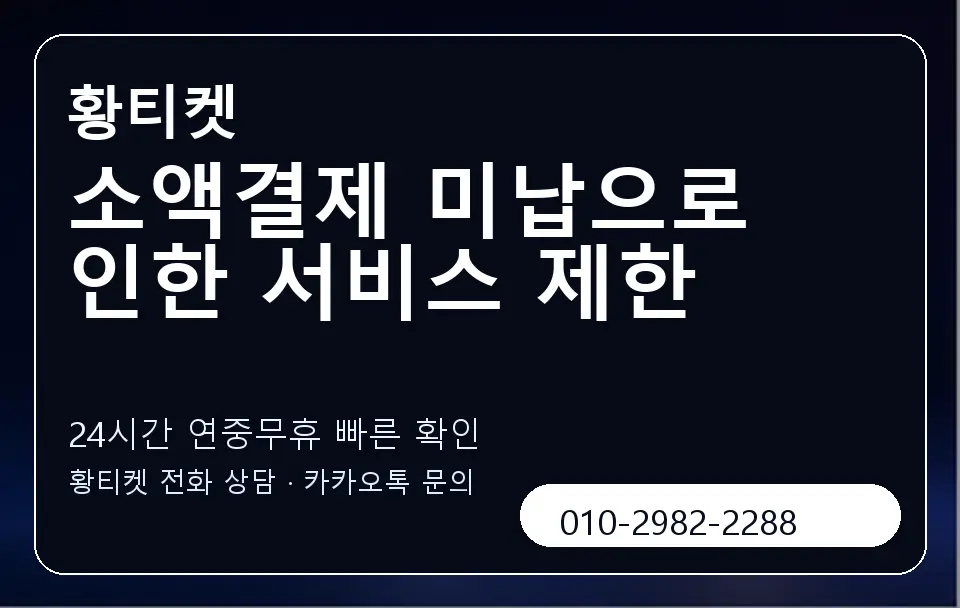 소액결제 미납으로 인한 서비스 제한 황티켓 캐러셀 2