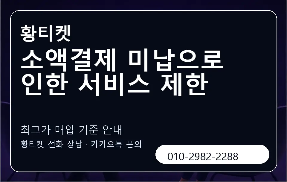 소액결제 미납으로 인한 서비스 제한 황티켓 캐러셀 3