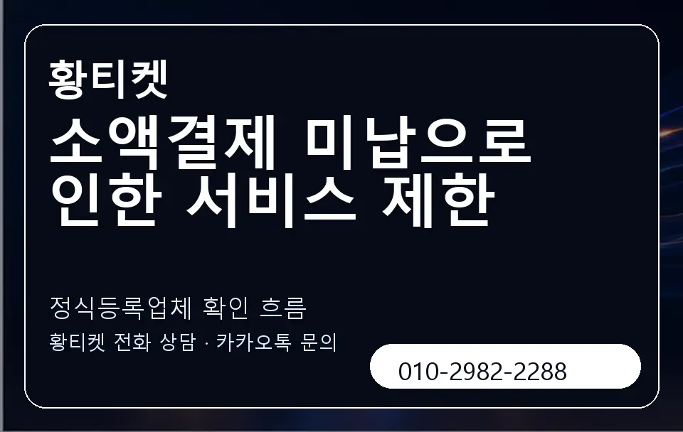 소액결제 미납으로 인한 서비스 제한 황티켓 캐러셀 4
