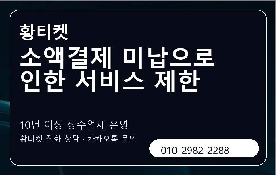 소액결제 미납으로 인한 서비스 제한 황티켓 캐러셀 5