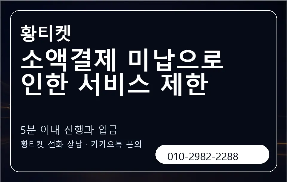 소액결제 미납으로 인한 서비스 제한 황티켓 캐러셀 6