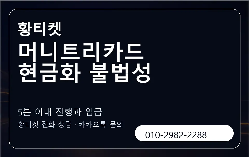 머니트리카드 현금화 불법성 황티켓 캐러셀 6