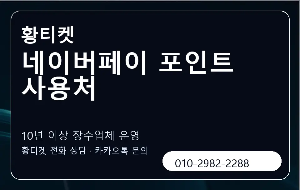 네이버페이 포인트 사용처 황티켓 캐러셀 5