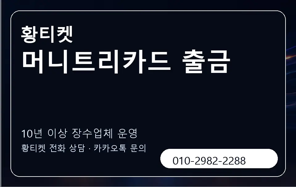 머니트리카드 출금 황티켓 캐러셀 5