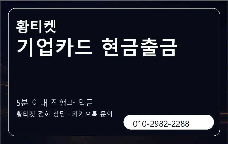 기업카드 현금출금 황티켓 캐러셀 6