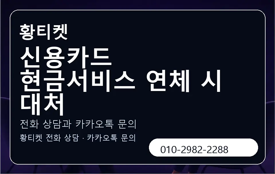 신용카드 현금서비스 연체 시 대처 황티켓 캐러셀 1