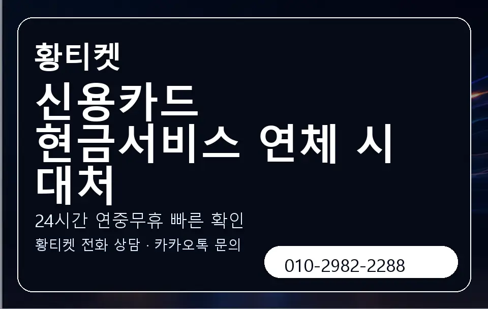 신용카드 현금서비스 연체 시 대처 황티켓 캐러셀 2