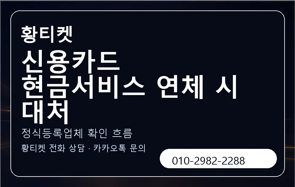 신용카드 현금서비스 연체 시 대처 황티켓 캐러셀 4