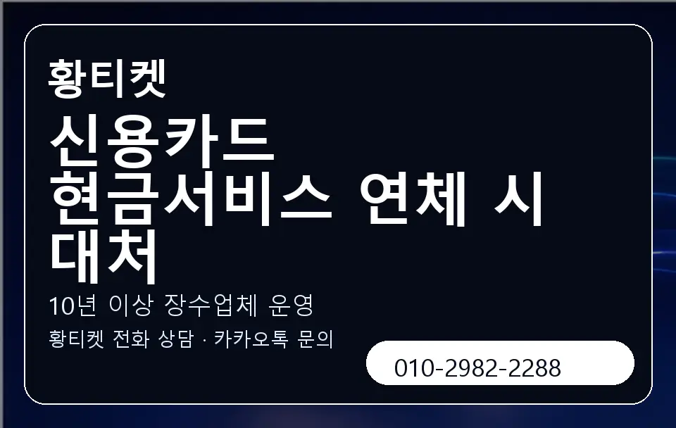 신용카드 현금서비스 연체 시 대처 황티켓 캐러셀 5