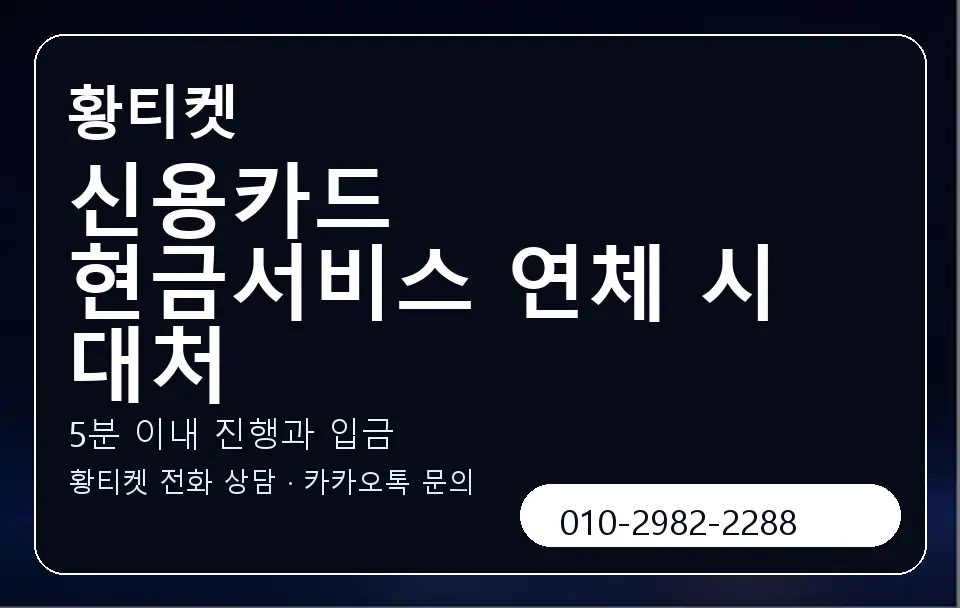 신용카드 현금서비스 연체 시 대처 황티켓 캐러셀 6