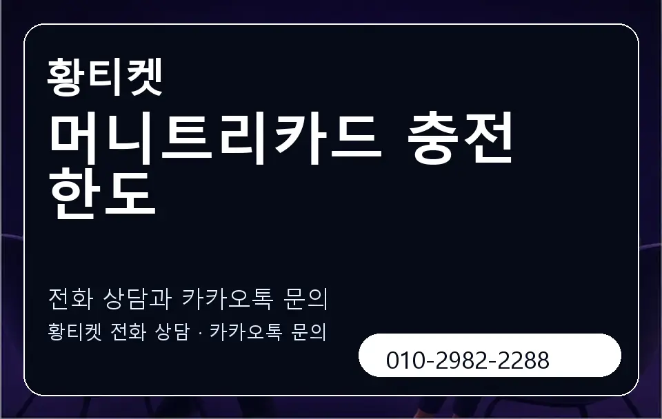 머니트리카드 충전 한도 황티켓 캐러셀 1