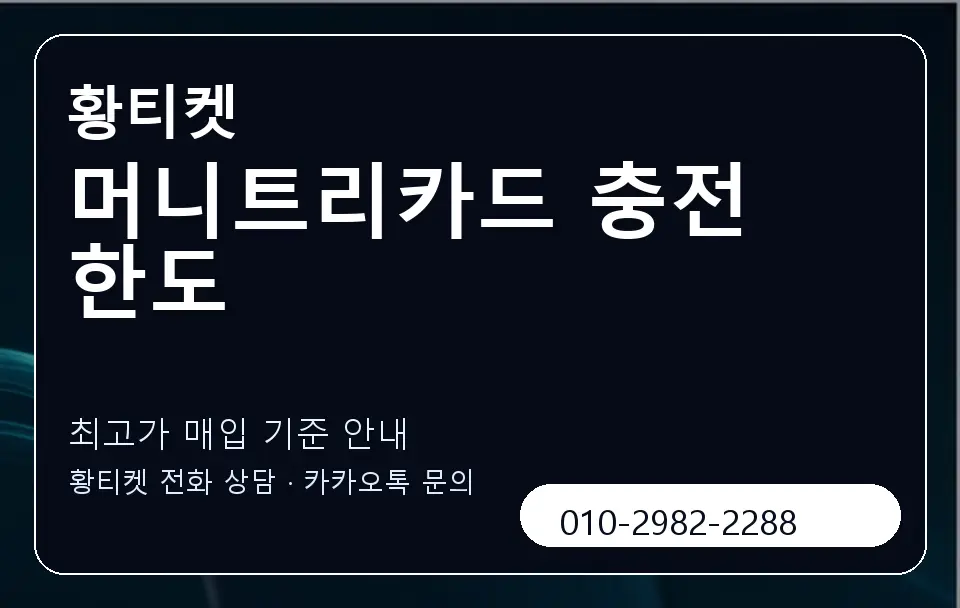 머니트리카드 충전 한도 황티켓 캐러셀 3