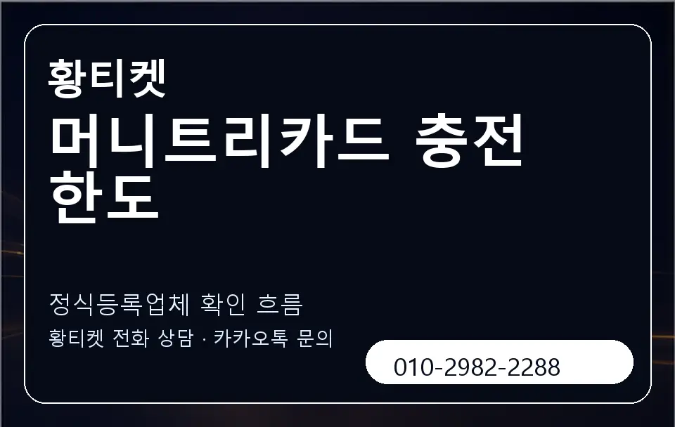 머니트리카드 충전 한도 황티켓 캐러셀 4