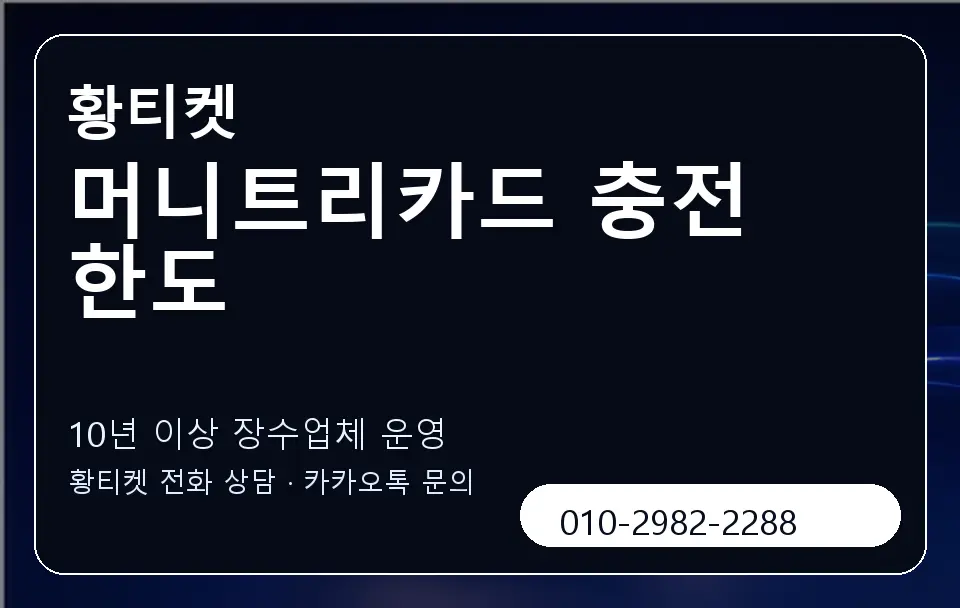 머니트리카드 충전 한도 황티켓 캐러셀 5
