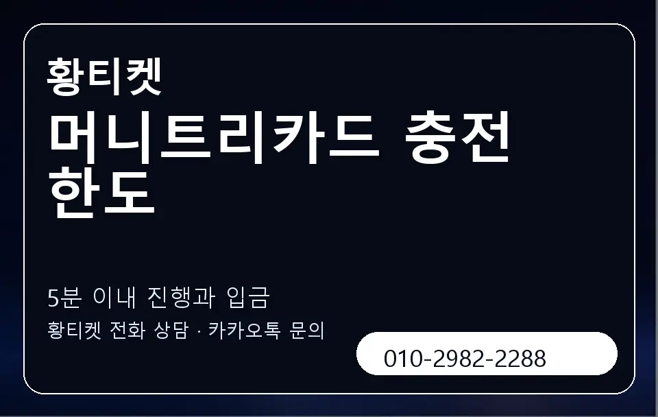 머니트리카드 충전 한도 황티켓 캐러셀 6