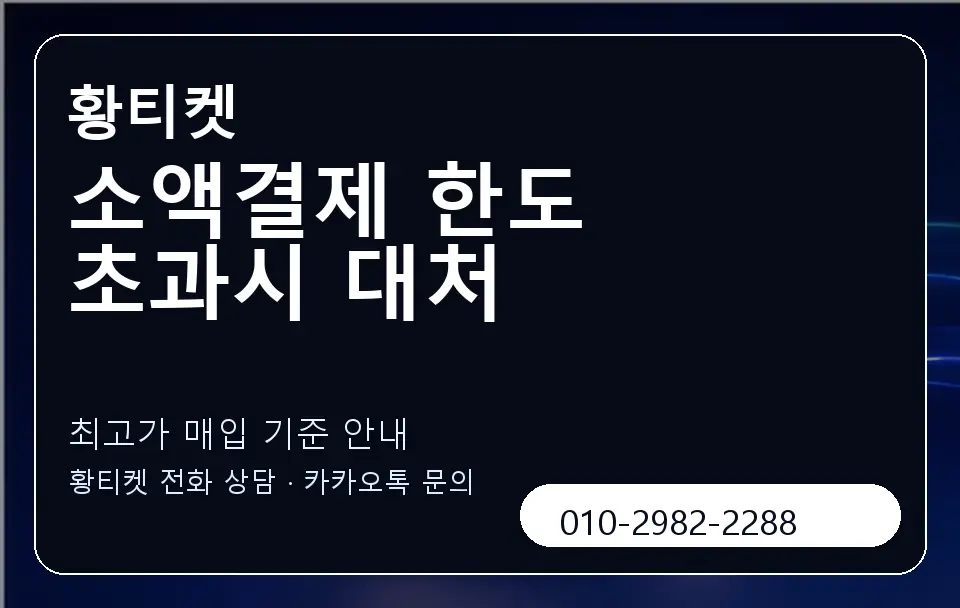 소액결제 한도 초과시 대처 황티켓 캐러셀 3