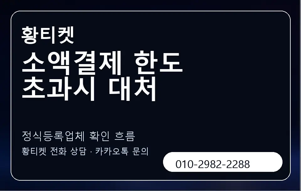 소액결제 한도 초과시 대처 황티켓 캐러셀 4
