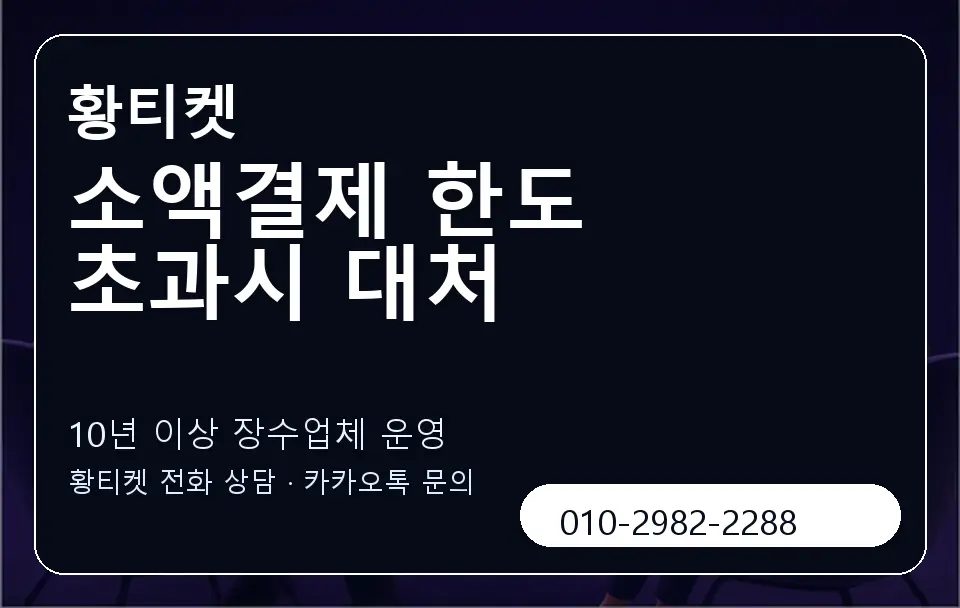 소액결제 한도 초과시 대처 황티켓 캐러셀 5