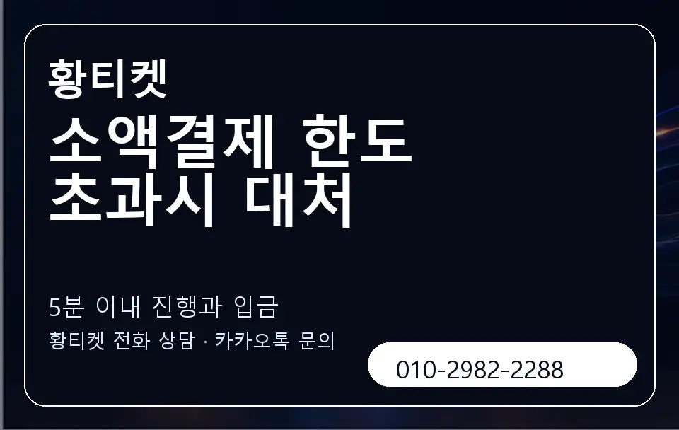 소액결제 한도 초과시 대처 황티켓 캐러셀 6
