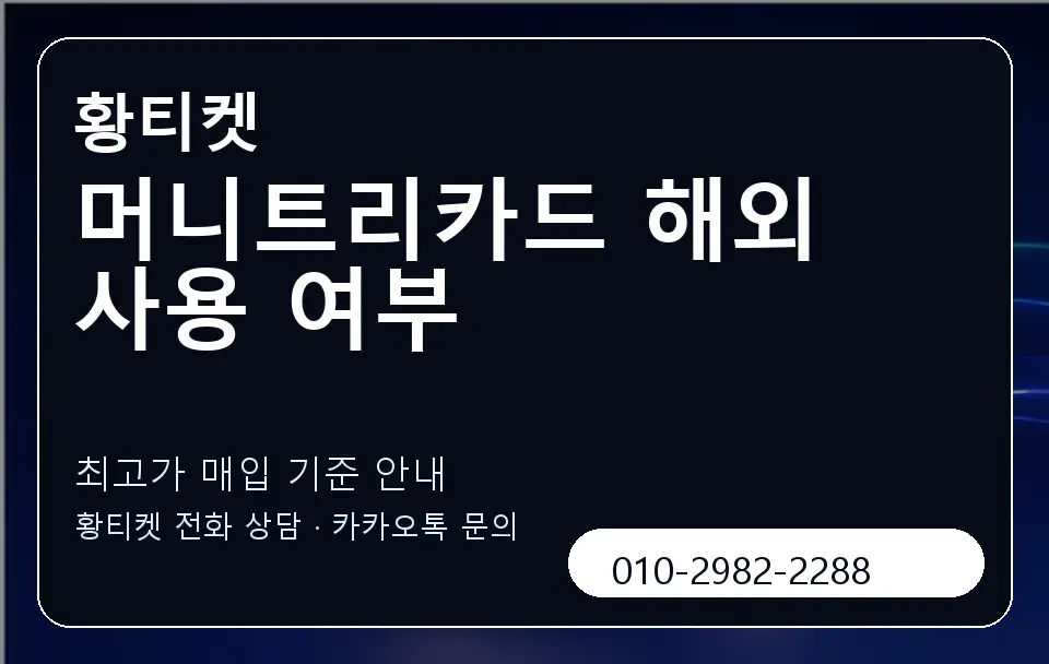 머니트리카드 해외 사용 여부 황티켓 캐러셀 3