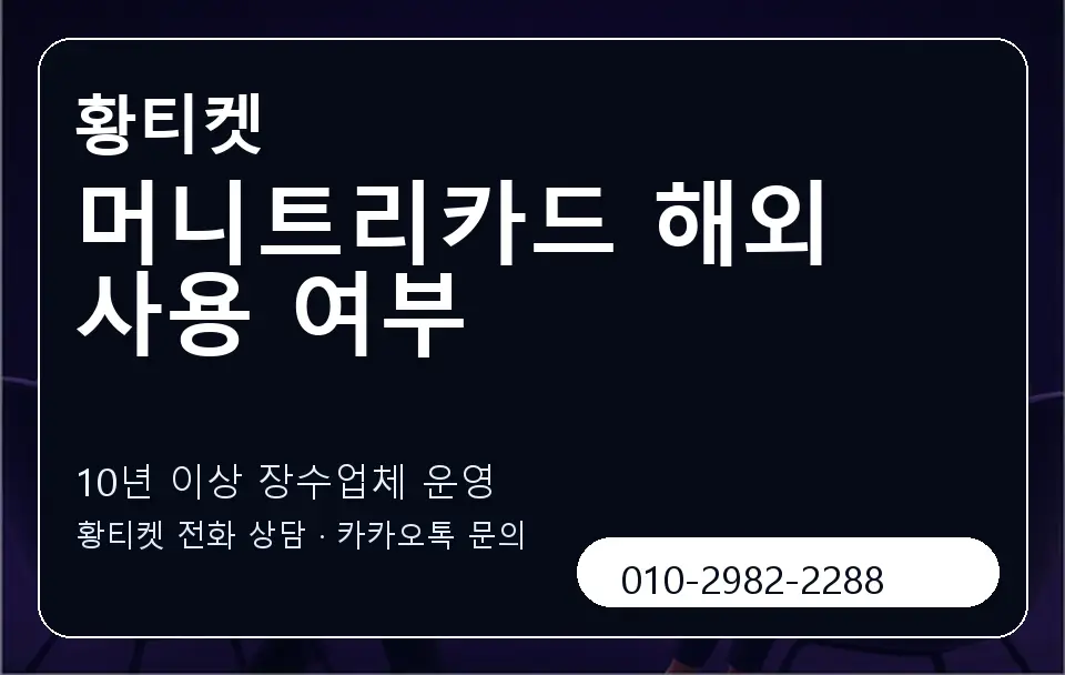 머니트리카드 해외 사용 여부 황티켓 캐러셀 5