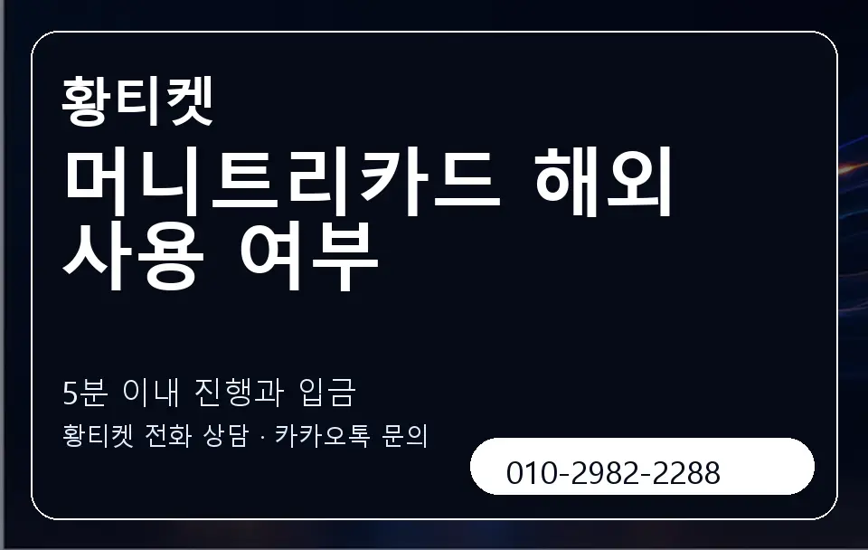머니트리카드 해외 사용 여부 황티켓 캐러셀 6