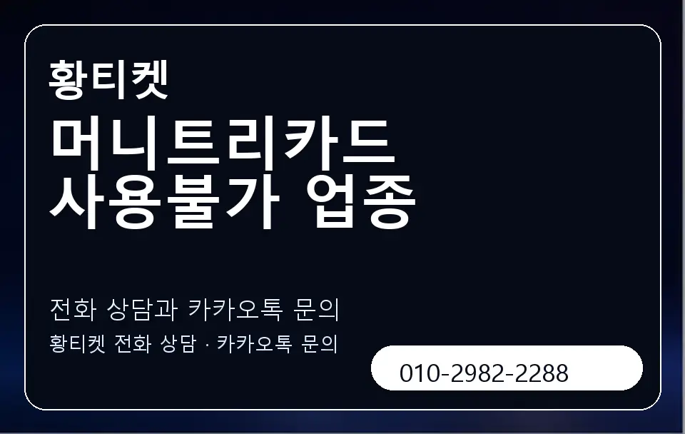 머니트리카드 사용불가 업종 황티켓 캐러셀 1