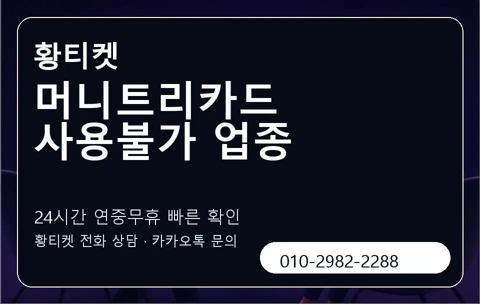 머니트리카드 사용불가 업종 황티켓 캐러셀 2