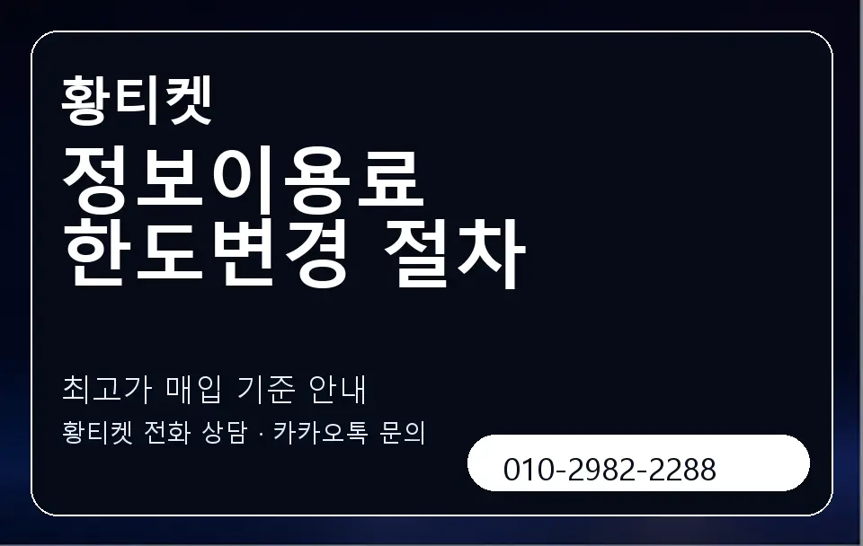 정보이용료 한도변경 절차 황티켓 캐러셀 3