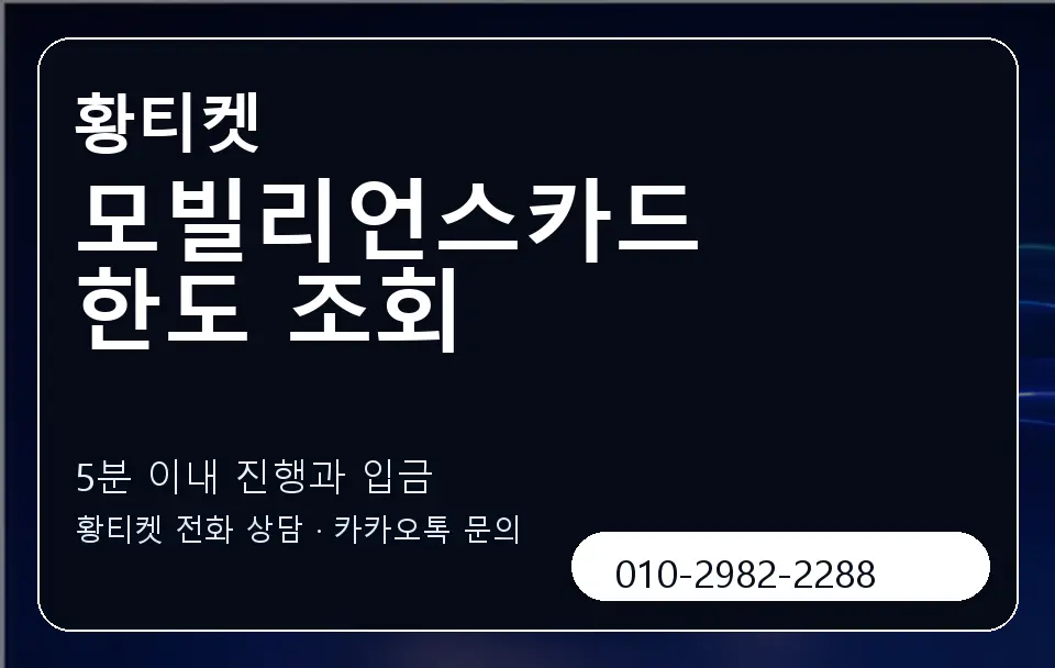모빌리언스카드 한도 조회 황티켓 캐러셀 6