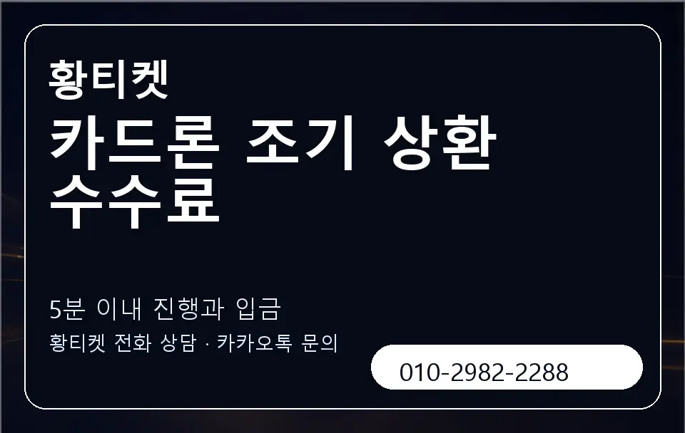 카드론 조기 상환 수수료 황티켓 캐러셀 6