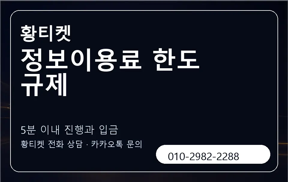 정보이용료 한도 규제 황티켓 캐러셀 6