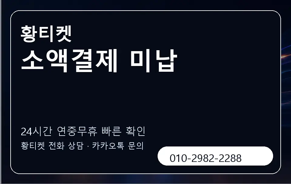 소액결제 미납 황티켓 캐러셀 2