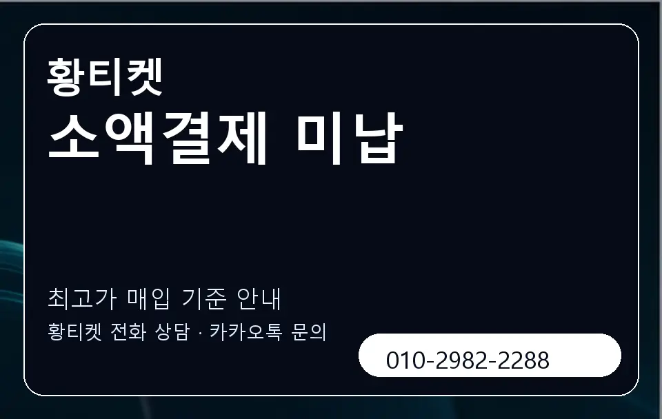 소액결제 미납 황티켓 캐러셀 3
