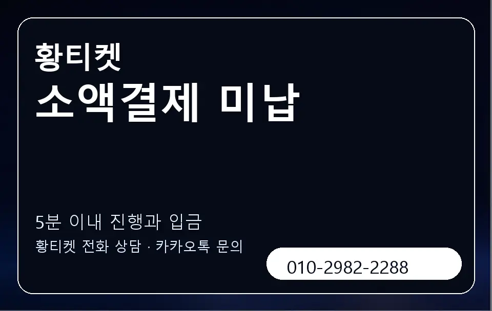 소액결제 미납 황티켓 캐러셀 6