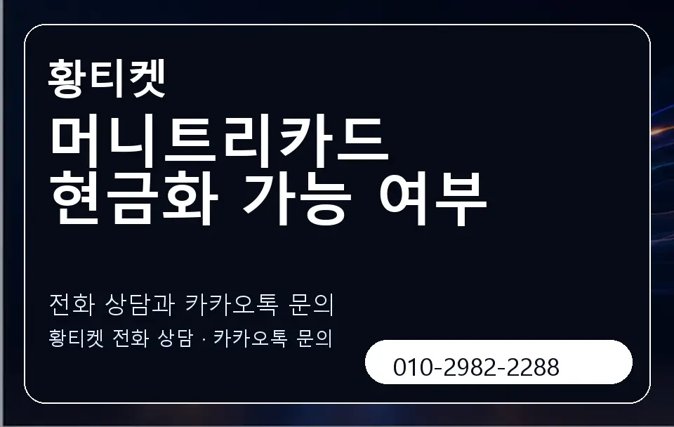 머니트리카드 현금화 가능 여부 황티켓 캐러셀 1