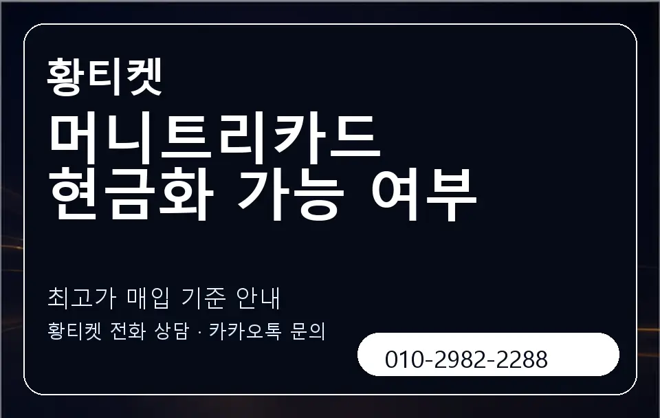 머니트리카드 현금화 가능 여부 황티켓 캐러셀 3