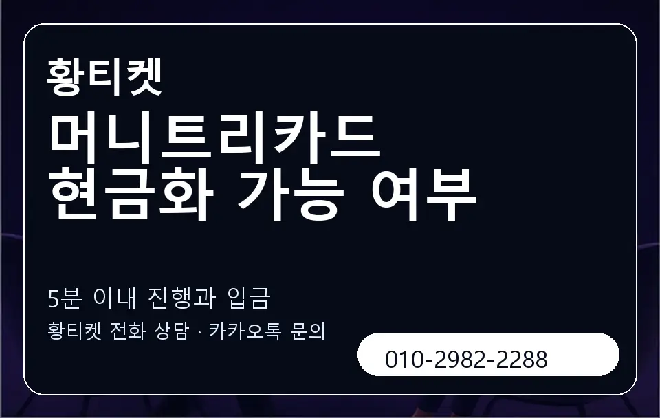 머니트리카드 현금화 가능 여부 황티켓 캐러셀 6