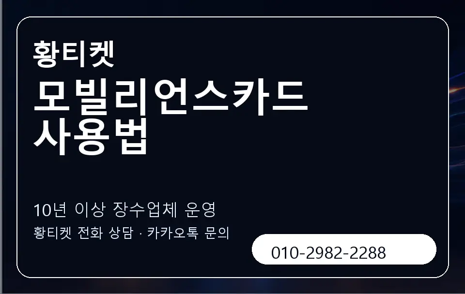 모빌리언스카드 사용법 황티켓 캐러셀 5