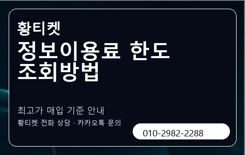 정보이용료 한도 조회방법 황티켓 캐러셀 3